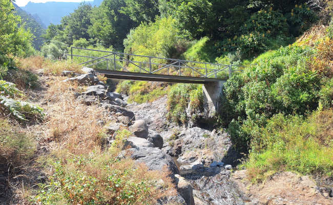 Bruecke in Madeira