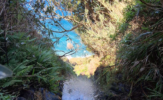 Madeira Steilküste