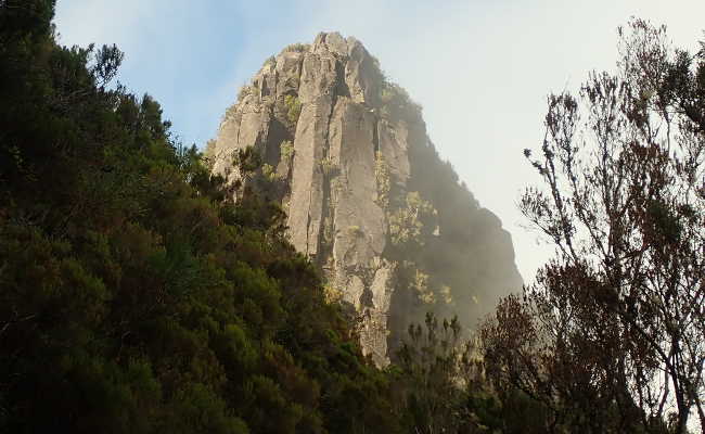 Climbing rock Pinaculo