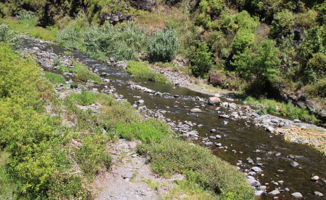 Fluss Ribeira Serra Agua