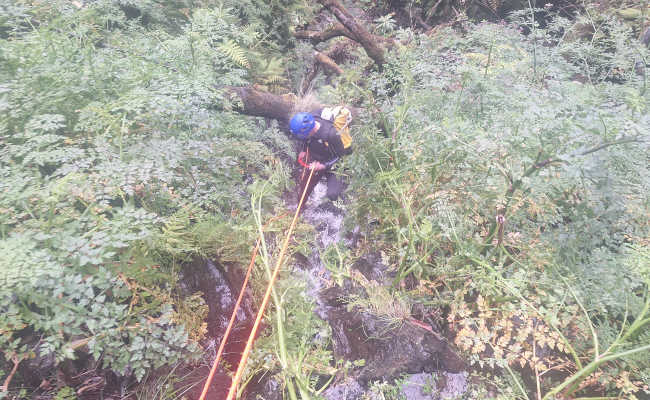 Einstieg von der Levada do Seixal