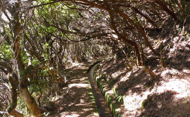 Wanderweg in Madeira
