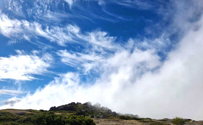 Weather in Madeira